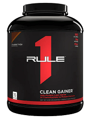 WEIGHT GAINER PROTEIN
